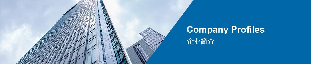 企業(yè)簡(jiǎn)介